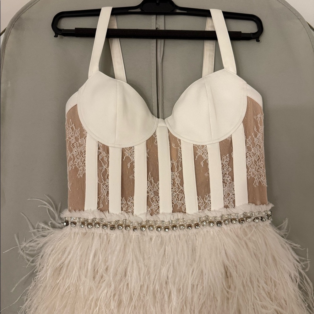 NEVER WORN Alicia & Olivia Shia Sheer Bustier Feather Dress - Picture 8 of 8